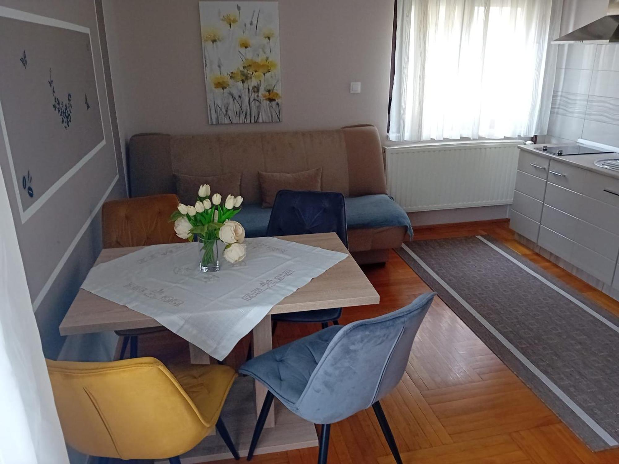 Apartments & Rooms 4 Rijeke كارلوفاتش المظهر الخارجي الصورة